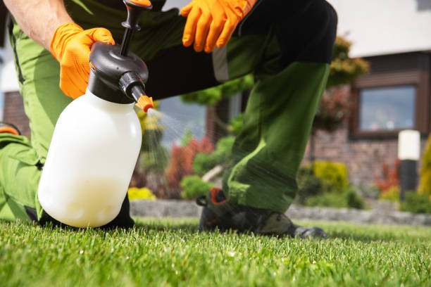 Best Pest Prevention Services  in Virden, IL