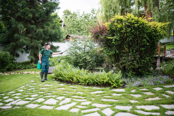 Best Mosquito Control Services  in Virden, IL