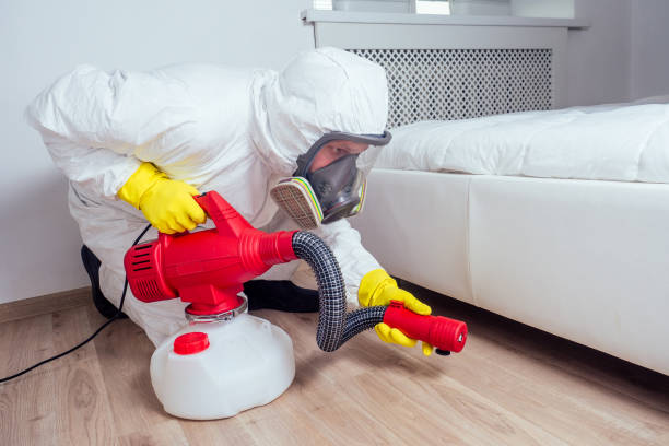 Best Wildlife Control Services  in Virden, IL
