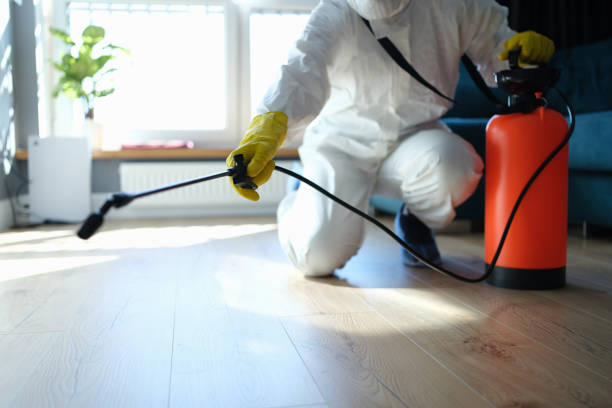 Best Affordable Pest Control Services  in Virden, IL