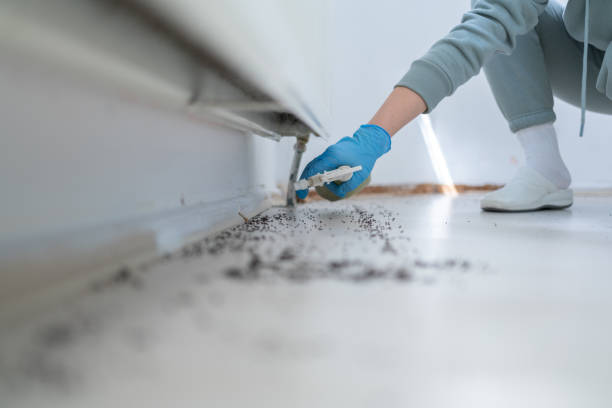 Best Pest Control Near Me  in Virden, IL