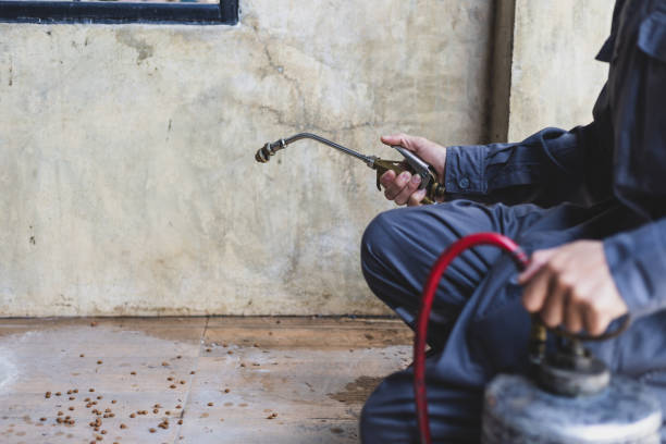 Best Flea Control Services  in Virden, IL